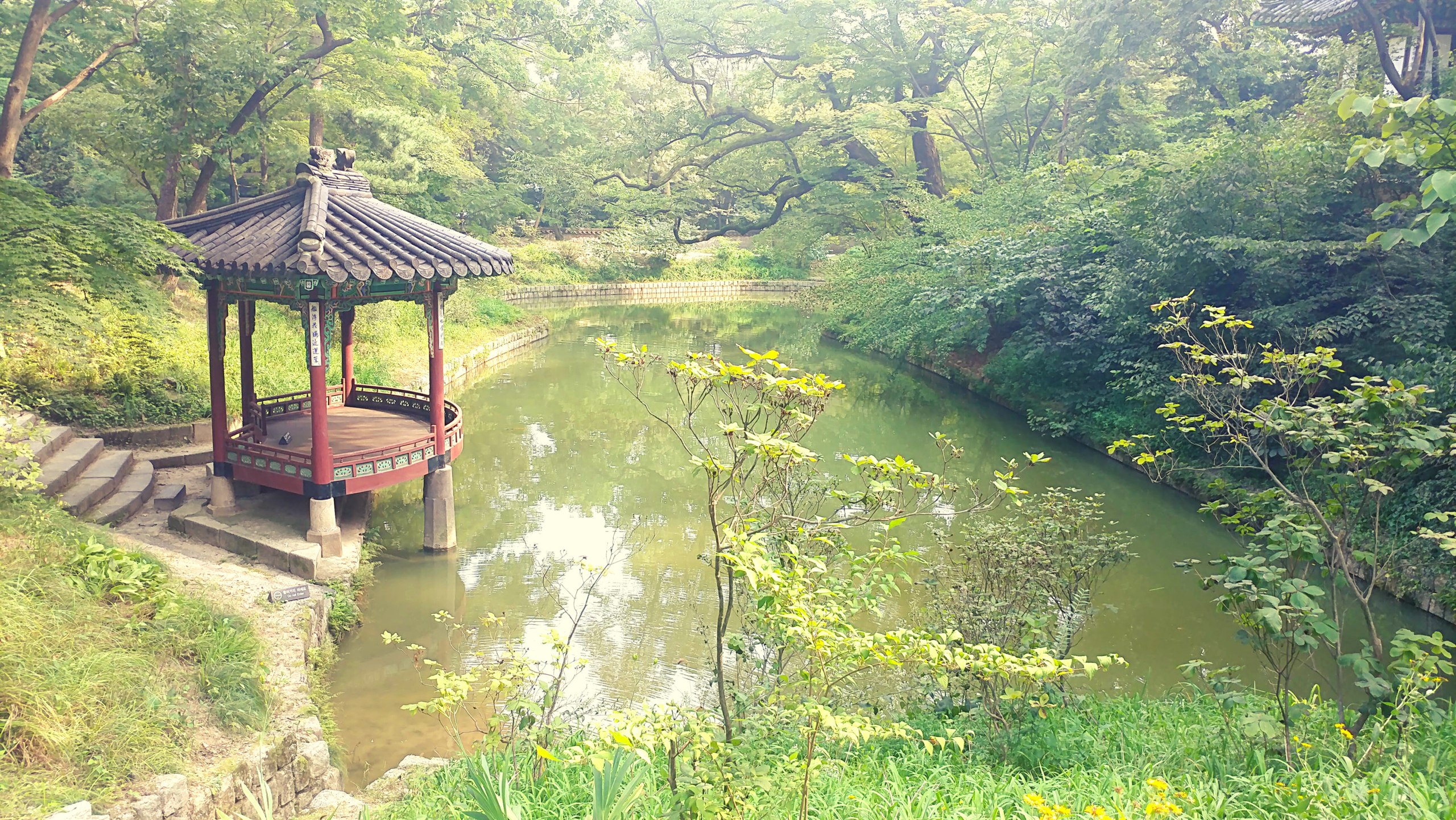 A quiet garden pavilion, a visual metaphor for slow, grounded healing
