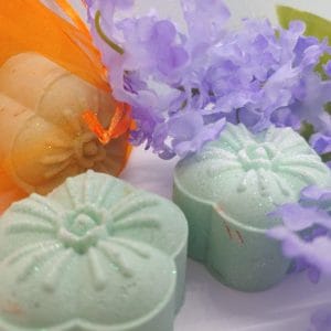 Invigorate the Spirit Shower Steamers