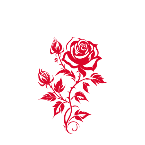 Rose & Shift red rose